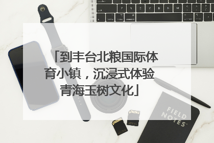 到丰台北粮国际体育小镇，沉浸式体验青海玉树文化